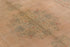 Antique Oushak Area Rug (9' x 11')